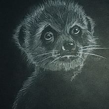 Animales con trama. Een project van Tekening met potlood van sandra_dolzb - 07.06.2020
