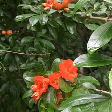 8M. Een project van  Creativiteit van sandra_dolzb - 07.06.2020