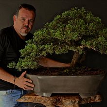Tecnicas Basicas de Iniciacion al Arte del Bonsai  . % German Arellano tarafından hazırlanan Mimarlık, Güzel sanatlar, Yaratıcılık, Dekoras, on, İç Tasarım, Pe, Ve zaj Mimarisi projesi - 06.08.2020