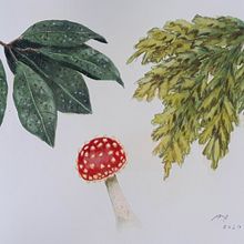 Meu projeto do curso: Caderno botânico em aquarela. Traditional illustration, Botanical Illustration & Ink Illustration project by Ana Rocha - 06.13.2020