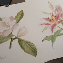 Meu projeto do curso: Ilustração botânica com aquarela. Un proyecto de Pintura a la acuarela de carolinesze - 10.06.2020