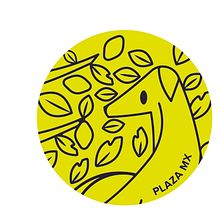 PLAZAMX DESIGN SUDIO . Un proyecto de Br, ing e Identidad e Ilustración vectorial de Carlos Plaza - 28.06.2020