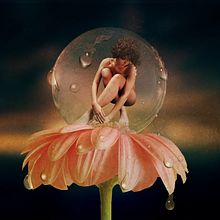 Entre gotas. Fine-Art Photograph, Fine Arts, Photograph, Digital Photograph, and Photo Retouching project by laberic123 - 06.10.2020