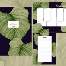 My project in Botanical Illustration with Watercolors course . Ilustrasi tradisional proyek oleh ashleymayse - 06.10.2020