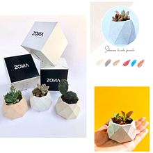 MACETAS CONCRETO . Arts, Crafts, Furniture Design, Making, Interior Design, Interior Decoration, and DIY project by Monserrat Rangel Hernández - 05.29.2020