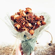 Fotografía Flores de Pitiminí. Un progetto di Fotografia con smartphone di Alexandra Valledor - 25.03.2020
