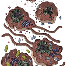 Vida antes de lo dinosaurios . Desen digital de Rosa Rivero - 06.11.2020