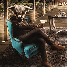 Aqua Armchairs. Photographic Composition, Commercial Photograph, Photograph, and Post-production project by Santiago Buitrago Belalcazar - 05.07.2020