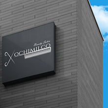 Creacion de Logotipo Beauty Salon . Logo Design, and Traditional illustration project by Heber Barron - 06.11.2020