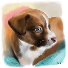 Compañeritos pet portrait. Un proyecto de Dibujo de Retrato, Dibujo digital, Ilustración digital y Pintura digital de Irene Moreno - 12.06.2020