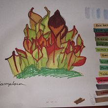 Bocetos del diario de dibujo. Un proyecto de Dibujo de Mariana Quesada Rodríguez - 12.06.2020