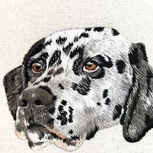Mi Proyecto del curso: Needle painting para principiantes. Un proyecto de Bordado, Ilustración naturalista				 y Diseño textil de Claudia Muñoz Matamala - 19.05.2022