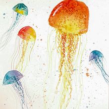 Jellyfish. Pintura em aquarela projeto de nicki_williams - 14.06.2020