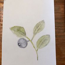 Arandano. Un progetto di Pittura ad acquerello di agusnicole2007 - 14.06.2020