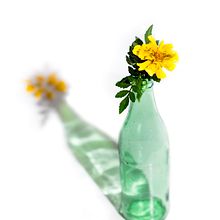 Mi Proyecto del curso: Fotografía creativa para redes sociales. Un proyecto de Fotografía de Maia Alcire - 14.06.2020