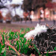 Mi Proyecto del curso: Composición y edición fotográfica para Instagram. Un proyecto de Arte urbano de Delfina Esmendi - 15.06.2020
