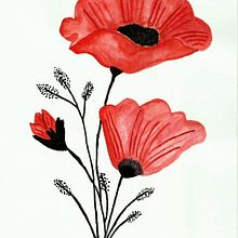Amapolas. Un progetto di Illustrazione tradizionale di psiana_p_m - 15.06.2020
