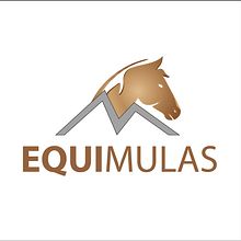 EQUIMULAS. Un proyecto de Diseño de logotipos de Santiago Velasquez - 02.07.2020
