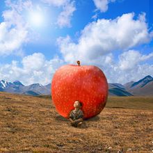 La manzana y el niño. Un proyecto de Diseño de Axel Antonio Duran - 16.06.2020