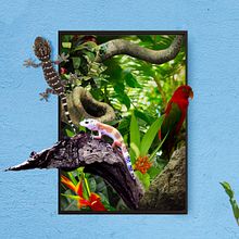 La selva en tu hogar. Un progetto di Collage, Composizione fotografica, Comunicazione, Creatività, Design digitale, Graphic design e Ritocco fotografico di Esther Valero Ballestero - 26.03.2020