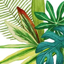 Mi Proyecto del curso: Técnicas aplicadas de ilustración en acuarela. Un progetto di Illustrazione tradizionale, Illustrazione botanica, Lettering e Pittura ad acquerello di Laura C Fletcher Briñez - 17.06.2020