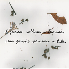 da série: É preciso cultivar a ternura sem esmorecer a luta. Un progetto di Animazione 2D di maria celia chaves ribeiro - 17.06.2020