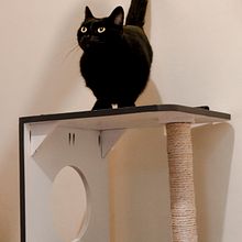 Rascador para mi gato. Een project van Houtbewerking van Arturo Paredes - 18.06.2020