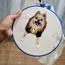 Mi Proyecto del curso: Almohada . Bordado projeto de nadmoli_18 - 18.06.2020