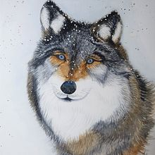Mi Proyecto del curso: Técnicas experimentales de acuarela . Un proyecto de Ilustración tradicional, Bellas Artes, Pintura a la acuarela e Ilustración naturalista				 de Mónica Quirós Garro - 04.07.2021