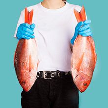 MUCHO COLOMBIA (Pescar Artesanal). Un projet de Photographie , et Photographie gastronomique de Alejandro Osses Saenz - 20.11.2019