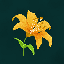 Fleur d'Or. Botanical Illustration, Children's Illustration, Digital Illustration, and Traditional illustration project by Ido Shtral - 06.20.2020