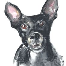 My project in Experimental Watercolor Techniques for Beginners course. Traditional illustration project by ingridmaxwell - 06.21.2020