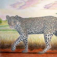 Luna - A2 Pencil drawing. Un progetto di Disegno e Illustrazione tradizionale di Tom Hill - 21.04.2020