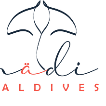 Madi Maldives- A tropical sports apparel company. Br, ing & Identit project by Ibrahim Zain Waleed - 06.23.2020