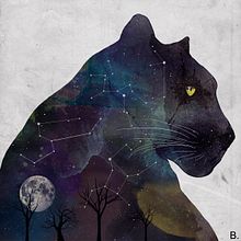 Pantera. Digital Drawing, Traditional illustration, Digital Illustration, Watercolor Painting, and Digital Painting project by Bertografo - 06.24.2020