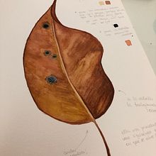 Trabajos prácticos de cursos en los que estoy trabajando. Een project van  Tekening, Tekening met potlood, Realistische tekening, Schilderij y Aquarelschilderen van Carolina Bottino - 25.06.2020