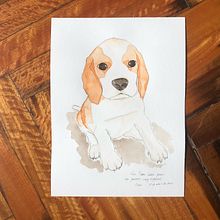 Retrato de mascotas. Een project van Aquarelschilderen, Schilderij,  Tekening, Tekening met potlood,  Portrettekening y  Beeldende kunst van Carolina Bottino - 17.04.2021