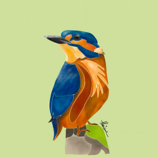 Pássaro 1, 2, 3. Drawing, and Traditional illustration project by Thaiane Mendes - 06.26.2020