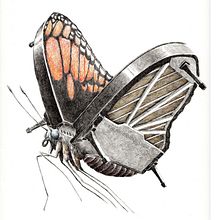 Animal music. Un progetto di Disegno di Redmer Hoekstra - 26.06.2020