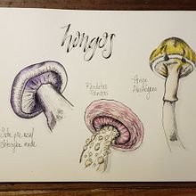 Mi Proyecto del curso: Cuaderno botánico en acuarela. Un projet de Dessin artistique de Flor Ampudia - 02.07.2020