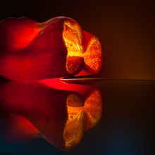 Mi Proyecto del curso: Geometrias gastronomicas . Fotografi Produk proyek oleh JESUS VILLAR MOVELLAN - 06.29.2020