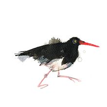 Coastal Birds. Traditional illustration project by Laura McKendry - 06.28.2014