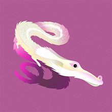 Falkor the Luck Dragon. Character Design, Digital Illustration, Traditional illustration, and Vector Illustration project by Nathan Jurevicius - 06.29.2020