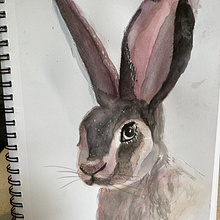 Mon petit lapin. Watercolor Painting project by Costisella Anne - 06.29.2020