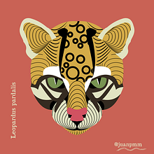 CARNIVOROS DEL ECUADOR, ILUSTRACIÓN DIGITAL. Un progetto di Illustrazione digitale di Juan Martinez Moscoso - 29.06.2020