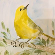 Mi Proyecto del curso: Ilustración botánica con acuarela. Un proyecto de Bellas Artes de IVONNE SOZA - 29.06.2020