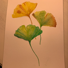 Mi Proyecto del curso: Cuaderno botánico en acuarela. Un projet de Aquarelle de Carolina García Mardini - 16.07.2020