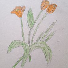 Mi Proyecto del curso: Ilustración botánica con acuarela ALEJANDRA IRIAS. Botanical Illustration project by aleygusty - 07.03.2020