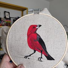 Mi Proyecto del curso: Tiê - Sangue! . Arts, Crafts, Embroider, and Creativit project by Vitória Albino - 07.03.2020