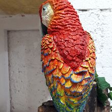 Guacamaya roja. Cerâmica, Escultura, e Modelagem 3D projeto de Laura Jácome Cessa - 30.07.2018